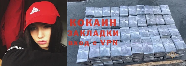 ПСИЛОЦИБИНОВЫЕ ГРИБЫ Арсеньев
