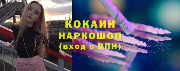 ПСИЛОЦИБИНОВЫЕ ГРИБЫ Арсеньев