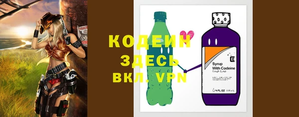 ПСИЛОЦИБИНОВЫЕ ГРИБЫ Арсеньев