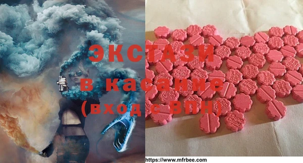 ПСИЛОЦИБИНОВЫЕ ГРИБЫ Арсеньев