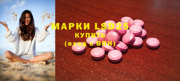 ПСИЛОЦИБИНОВЫЕ ГРИБЫ Арсеньев
