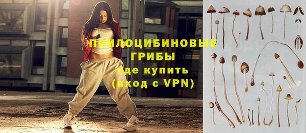 твердый Пестово